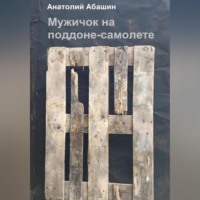 Анатолий Валентинович Абашин. Мужичок на поддоне