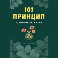 Тимур Казанцев. 101 принцип осознанной жизни