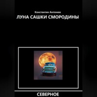 Константин Антонюк. Луна Сашки Смородины