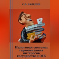 . Налоговая система: гармонизация интересов государства и МБ