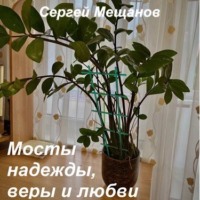 Сергей Алексеевич Мещанов. Мосты надежды, веры и любви