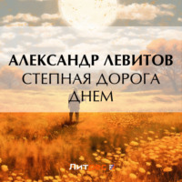 Александр Левитов. Степная дорога днем
