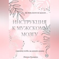Татьяна Сергеевна Паламарчук. Инструкция к мужскому мозгу