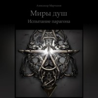 . Миры душ. Испытание парагона