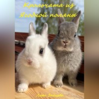 Лора Зайцева. Крольчата из Ягодной поляны