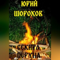 Юрий Шорохов. Секира Перуна