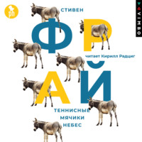 Стивен Фрай. Теннисные мячики небес