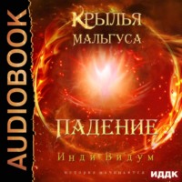 Инди Видум. Крылья Мальгуса. Падение