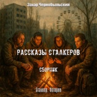 . Рассказы сталкеров. Сборник