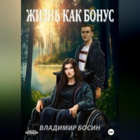 Владимир Георгиевич Босин. Жизнь как бонус