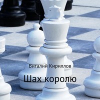Виталий Александрович Кириллов. Шах королю
