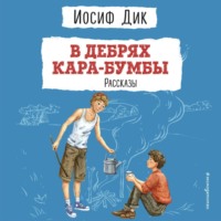 Иосиф Ионович Дик. В дебрях Кара-Бумбы