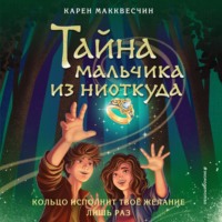 Карен Макквесчин. Тайна мальчика из ниоткуда