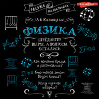 А. Б. Казанцева. Физика. Шрёдингер вырос, а вопросы остались