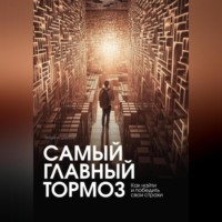 Татьяна Шантур. Самый главный тормоз. Как найти и победить свои страхи