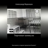 Александр Воронцов. Тюремные каникулы