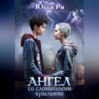Юкки Ри. Ангел со сломанными крыльями