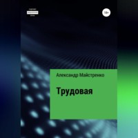 Александр Анатольевич Майстренко. Трудовая