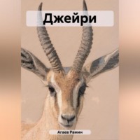 Рамин Назимович Агаев. Джейри