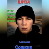 Александр Павлович Сошкин. Шиза