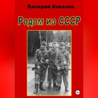 Валерий Николаевич Ковалев. Родом из СССР
