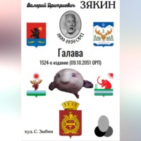 Валерий Дмитриевич Зякин. Галава