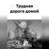 . Трудная дорога домой