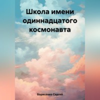 Сергей Николаевич Борисенко. Школа имени одиннадцатого космонавта