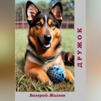 . Дружок