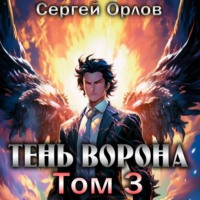 Сергей Орлов. Тень Ворона – 3