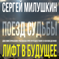 Сергей Милушкин. Лифт в будущее. Поезд судьбы