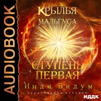 Инди Видум. Крылья Мальгуса. Ступень первая
