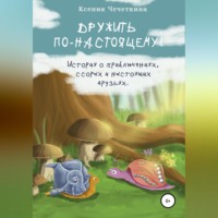 Ксения Вадимовна Чечеткина. Дружить по-настоящему!