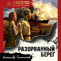 Сергей Зверев. Разорванный берег