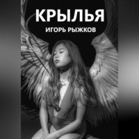 Игорь Рыжков. Крылья