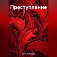 Андрей Болонов. Преступление