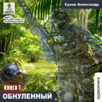. Обнулённый