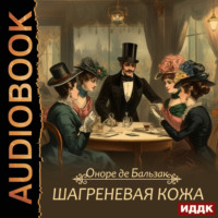 . Шагреневая кожа