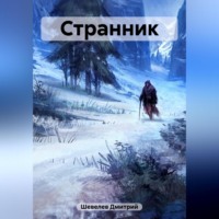 Дмитрий Александрович Шевелев. Странник