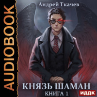 . Князь шаман. Книга 1