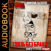 . Связь без брака. Книга 1