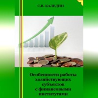 . Особенности работы хозяйствующих субъектов с финансовыми институтами