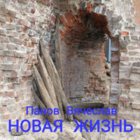Вячеслав Владимирович Панов. Новая жизнь