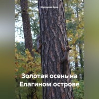 . Золотая осень на Елагином острове