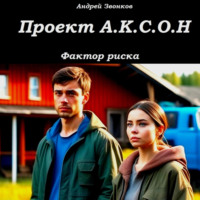 Андрей Звонков. Проект А.К.С.О.Н.