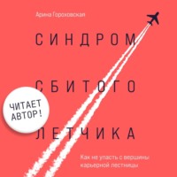 Арина Гороховская. Синдром сбитого летчика. Как не упасть с вершины карьерной лестницы (читает автор)
