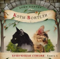 Эрин Хантер. Бушующая стихия