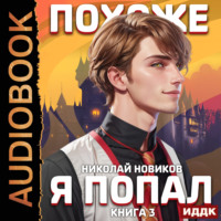 . Похоже, я попал. Книга 3. Похоже, вы попали