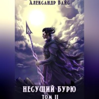 . Несущий бурю. Том II