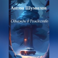Антон Шумилов. Однажды в Рождество